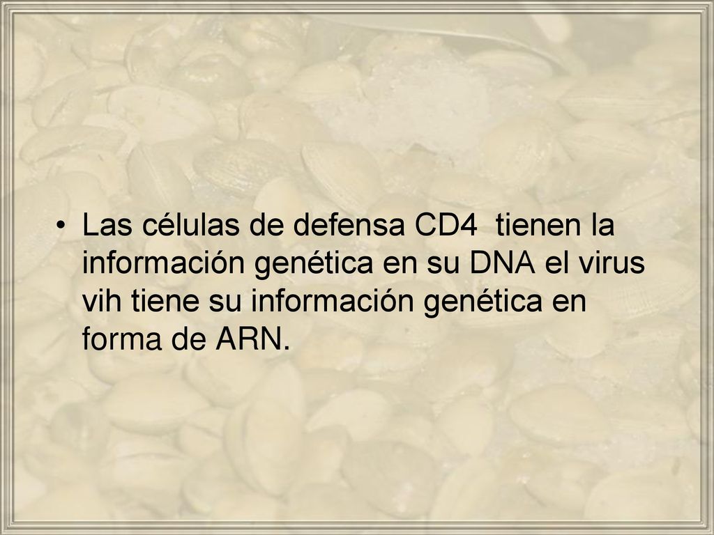 Las células de defensa CD4 tienen la información genética en su DNA el virus vih tiene su información genética en forma de ARN.