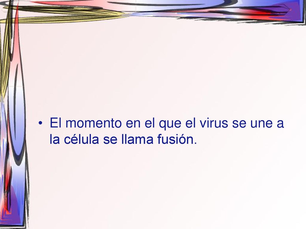 El momento en el que el virus se une a la célula se llama fusión.