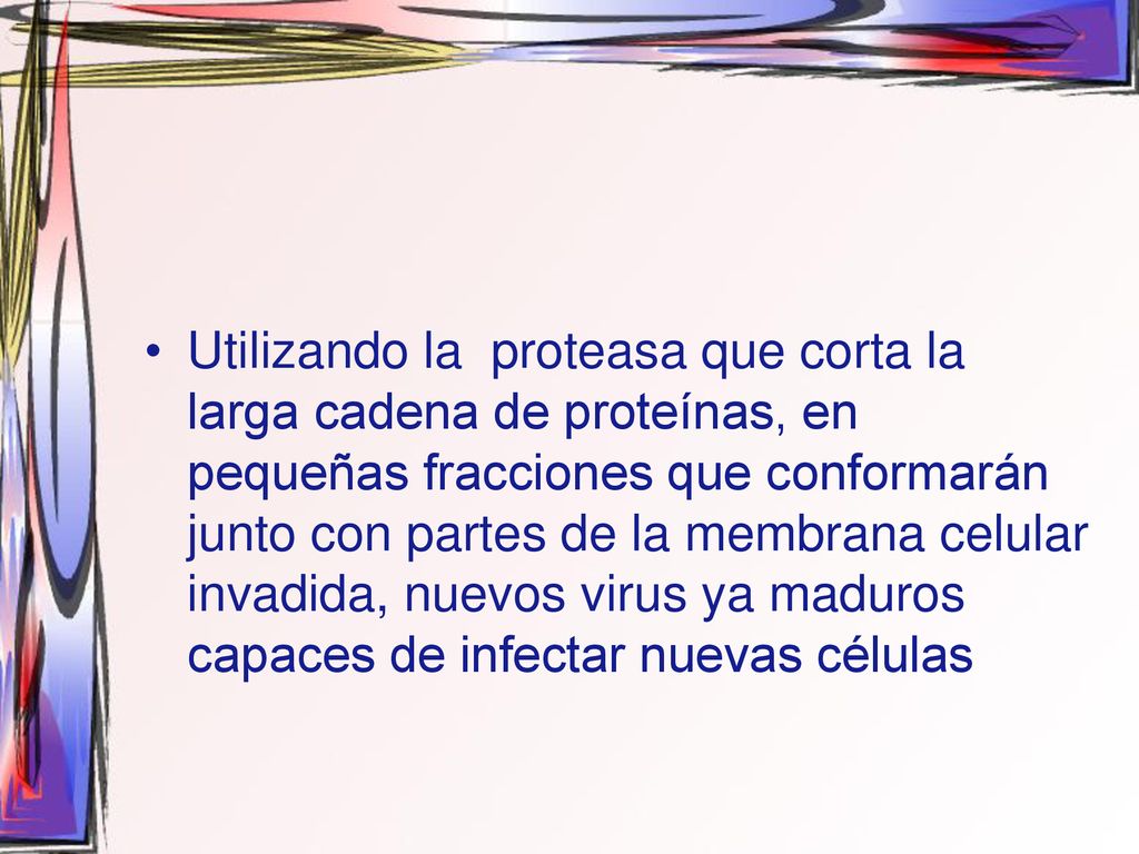 Utilizando la proteasa que corta la larga cadena de proteínas, en pequeñas fracciones que conformarán junto con partes de la membrana celular invadida, nuevos virus ya maduros capaces de infectar nuevas células