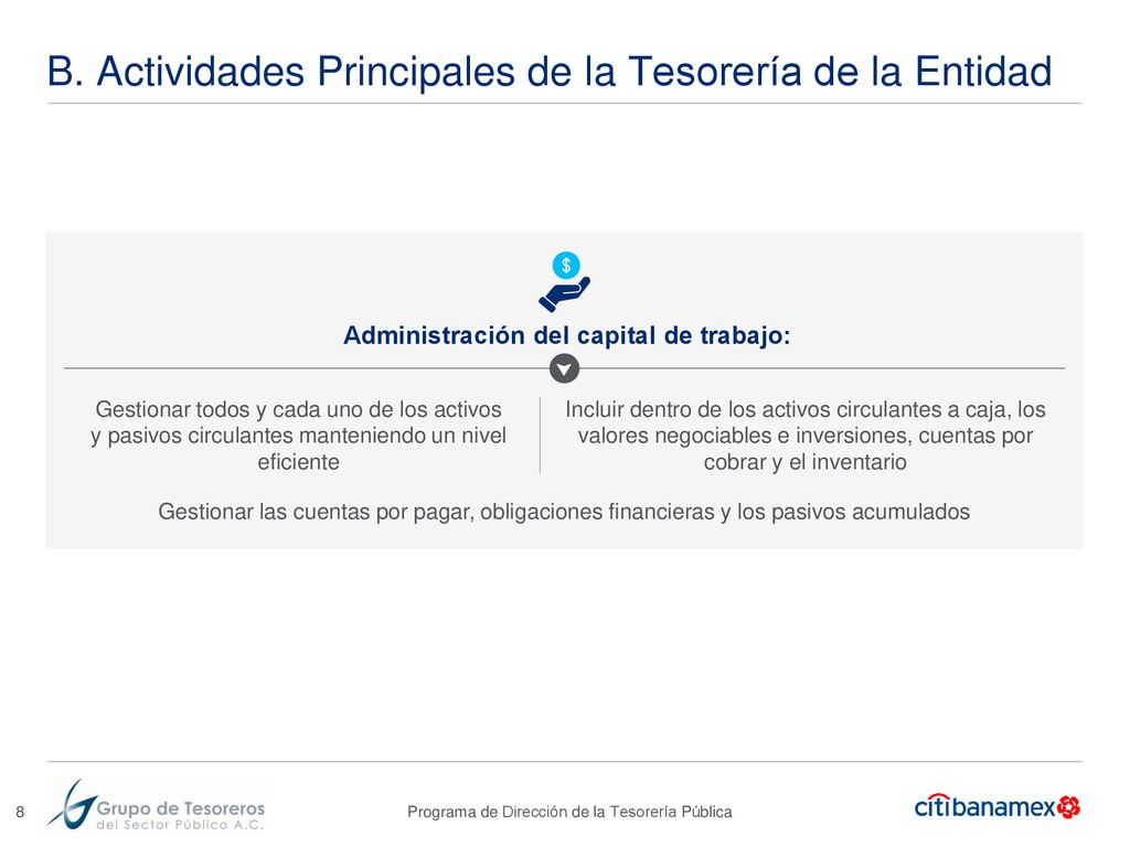 B. Actividades Principales de la Tesorería de la Entidad