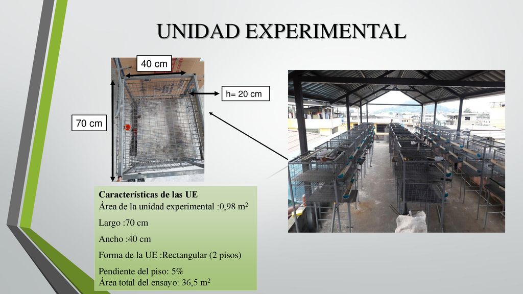 UNIDAD EXPERIMENTAL 40 cm 70 cm Características de las UE