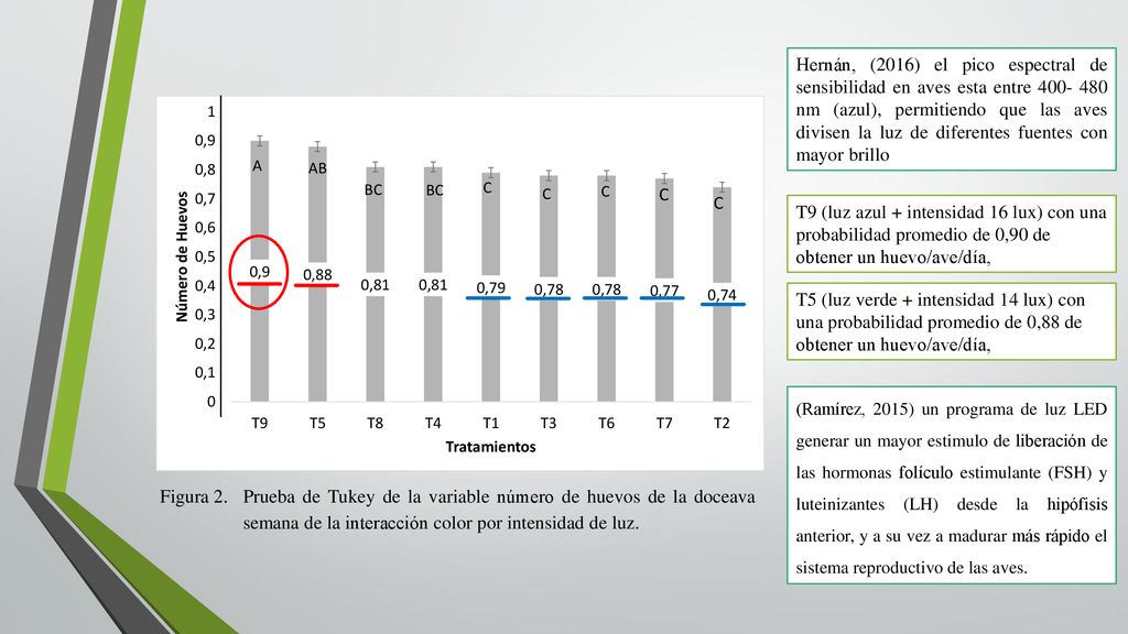 Hernán, (2016) el pico espectral de sensibilidad en aves esta entre nm (azul), permitiendo que las aves divisen la luz de diferentes fuentes con mayor brillo