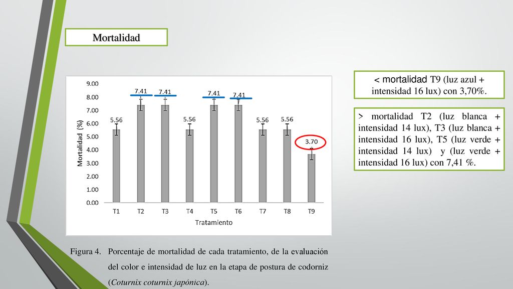 < mortalidad T9 (luz azul + intensidad 16 lux) con 3,70%.