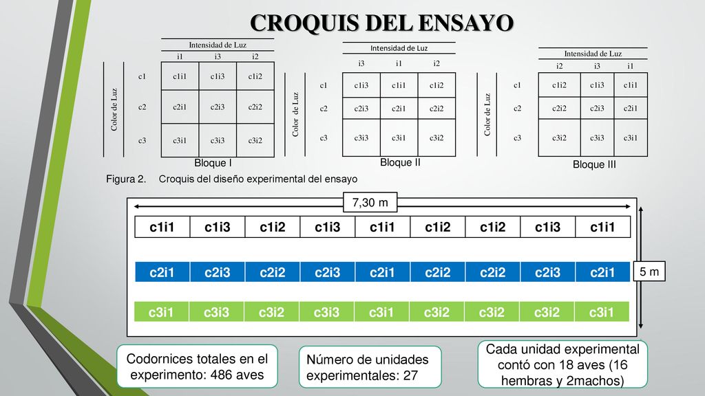 CROQUIS DEL ENSAYO c1i1 c1i3 c1i2 c2i1 c2i3 c2i2 c3i1 c3i3 c3i2