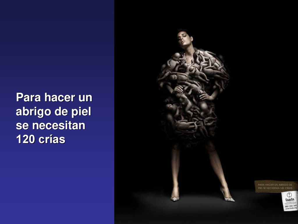 Para hacer un abrigo de piel se necesitan 120 crías