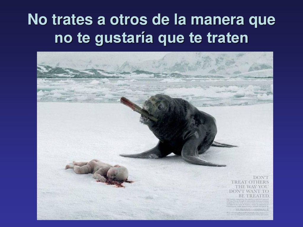 No trates a otros de la manera que no te gustaría que te traten