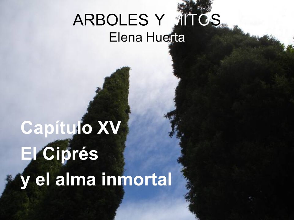ARBOLES Y MITOS Elena Huerta