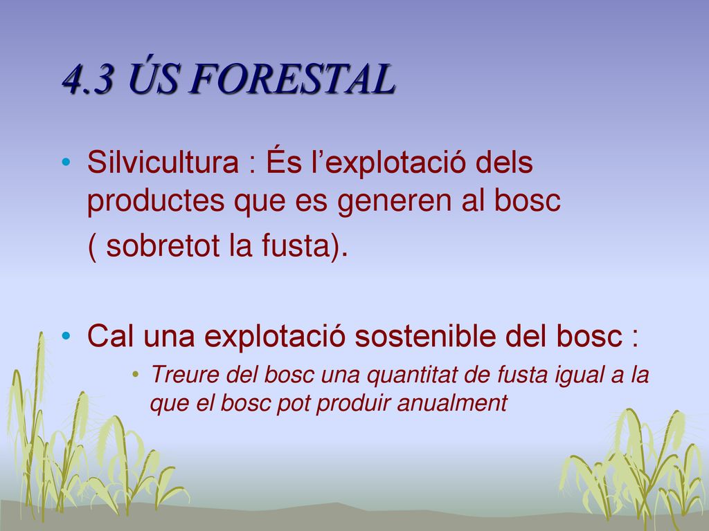 4.3 ÚS FORESTAL Silvicultura : És l’explotació dels productes que es generen al bosc. ( sobretot la fusta).