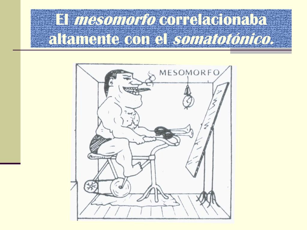 El mesomorfo correlacionaba altamente con el somatotónico.
