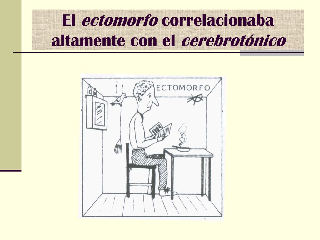 El ectomorfo correlacionaba altamente con el cerebrotónico