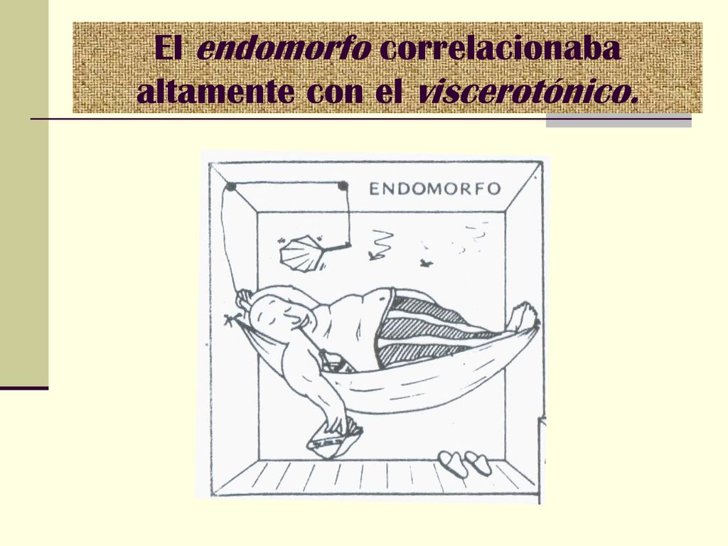 El endomorfo correlacionaba altamente con el viscerotónico.