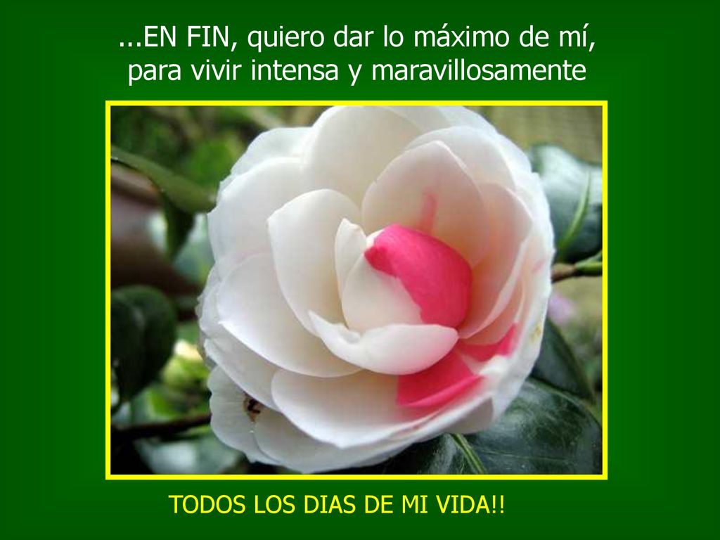 ...EN FIN, quiero dar lo máximo de mí, para vivir intensa y maravillosamente