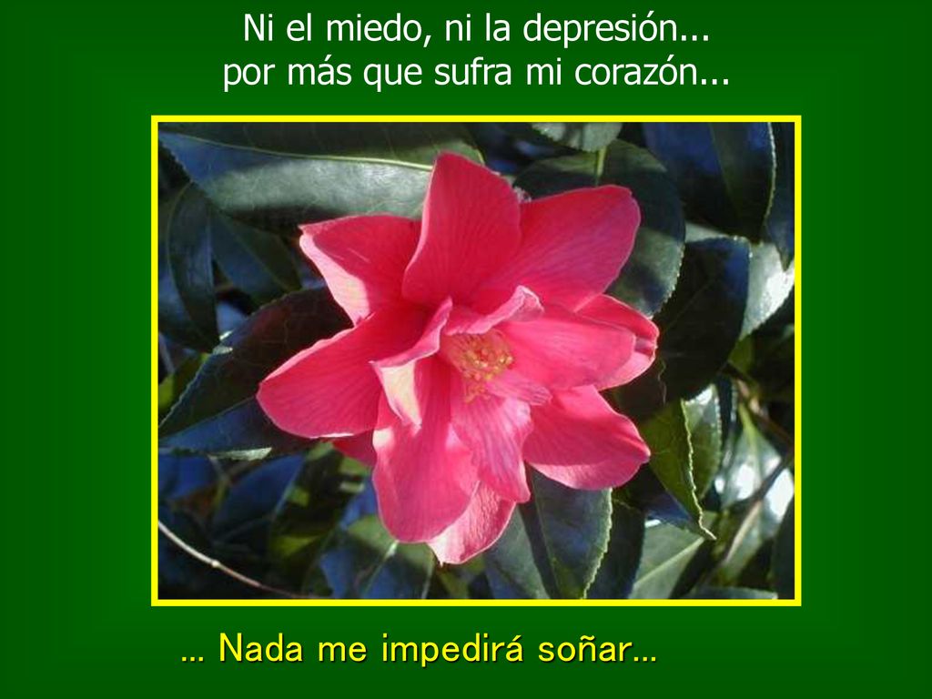 Ni el miedo, ni la depresión... por más que sufra mi corazón...