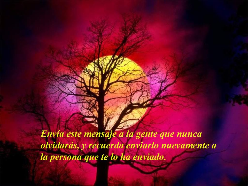 Envía este mensaje a la gente que nunca olvidarás, y recuerda enviarlo nuevamente a la persona que te lo ha enviado.