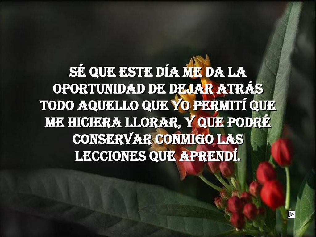 Sé que este día me da la oportunidad de dejar atrás todo aquello que yo permití que me hiciera llorar, y que podré conservar conmigo las lecciones que aprendí.