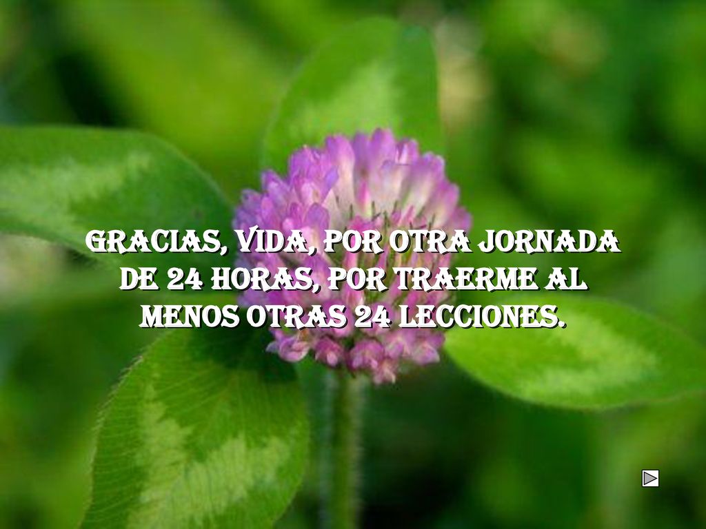 Gracias, Vida, por otra jornada de 24 horas, por traerme al menos otras 24 lecciones.