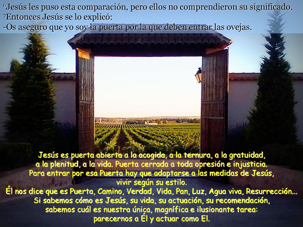 6Jesús les puso esta comparación, pero ellos no comprendieron su significado. 7Entonces Jesús se lo explicó: -Os aseguro que yo soy la puerta por la que deben entrar las ovejas.