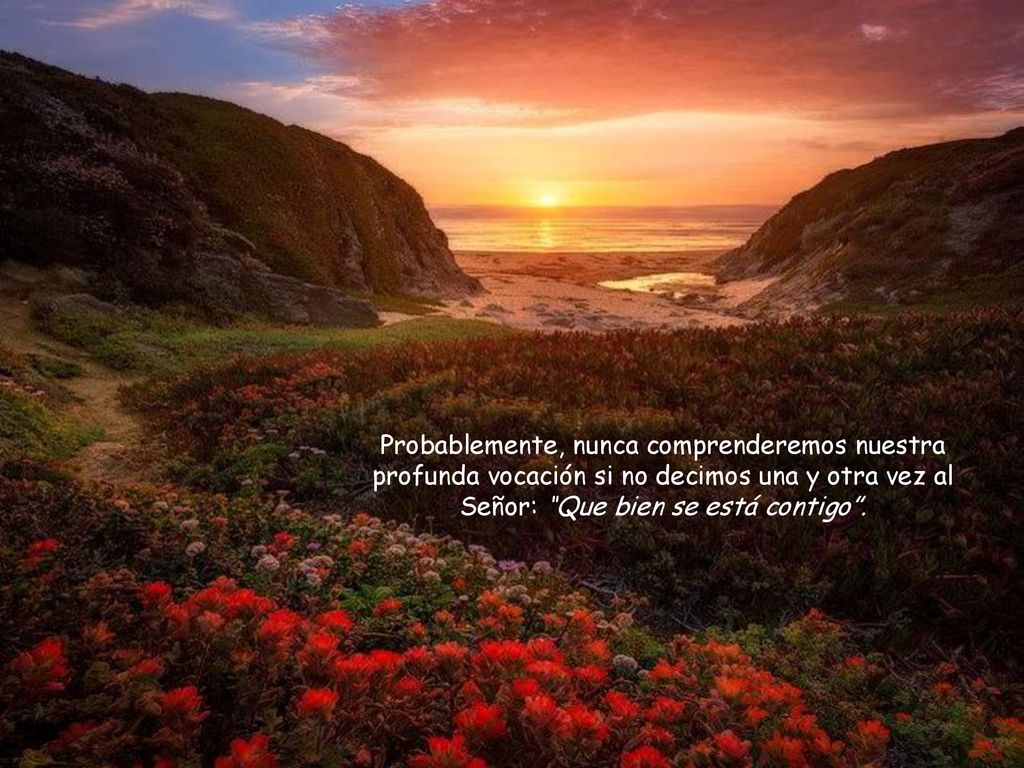 Probablemente, nunca comprenderemos nuestra profunda vocación si no decimos una y otra vez al Señor: Que bien se está contigo .