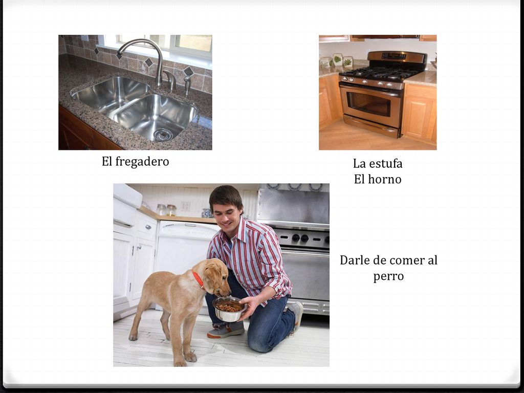 El fregadero La estufa El horno Darle de comer al perro