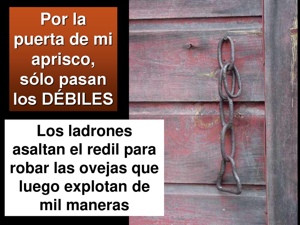 Por la puerta de mi aprisco, sólo pasan los DÉBILES