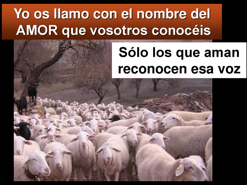 Yo os llamo con el nombre del AMOR que vosotros conocéis