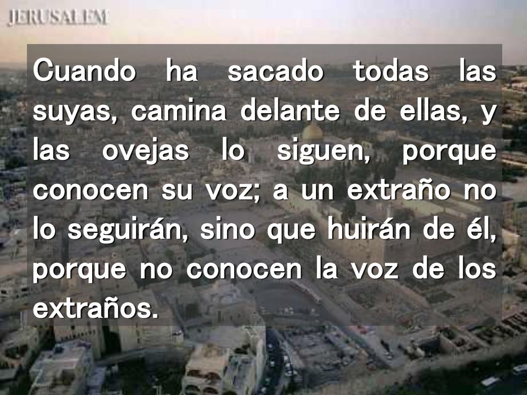 Cuando ha sacado todas las suyas, camina delante de ellas, y las ovejas lo siguen, porque conocen su voz; a un extraño no lo seguirán, sino que huirán de él, porque no conocen la voz de los extraños.