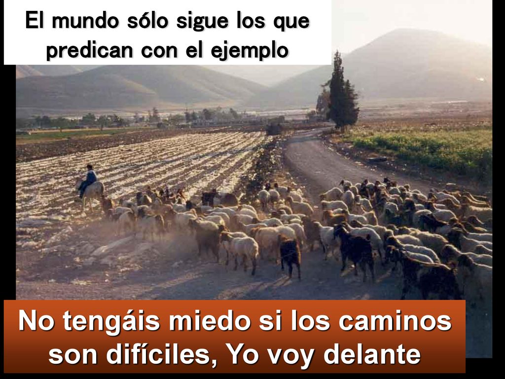No tengáis miedo si los caminos son difíciles, Yo voy delante