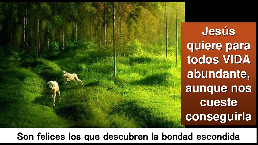 Jesús quiere para todos VIDA abundante, aunque nos cueste conseguirla