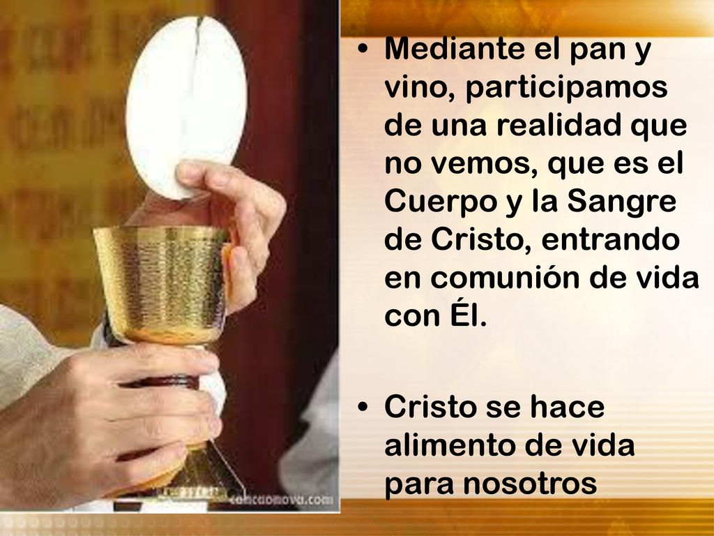 Mediante el pan y vino, participamos de una realidad que no vemos, que es el Cuerpo y la Sangre de Cristo, entrando en comunión de vida con Él.