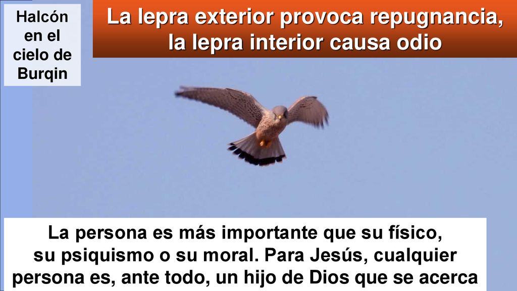 La lepra exterior provoca repugnancia, la lepra interior causa odio