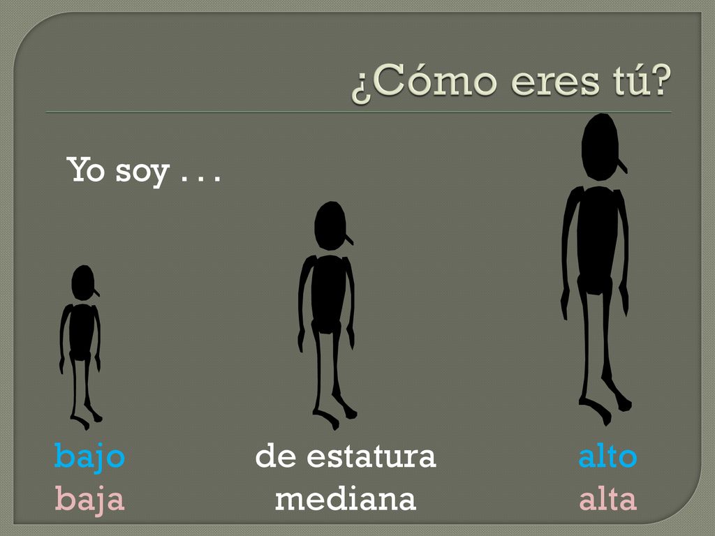 ¿Cómo eres tú Yo soy bajo baja de estatura mediana alto alta