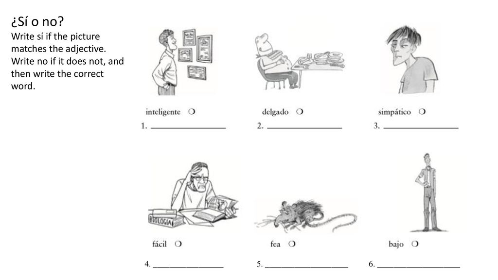 ¿Sí o no Write sí if the picture matches the adjective. Write no if it does not, and then write the correct word.