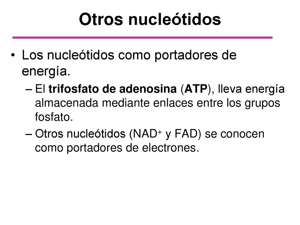Otros nucleótidos Los nucleótidos como portadores de energía.