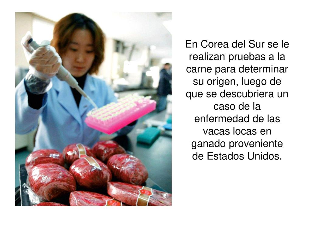 En Corea del Sur se le realizan pruebas a la carne para determinar su origen, luego de que se descubriera un caso de la enfermedad de las vacas locas en ganado proveniente de Estados Unidos.