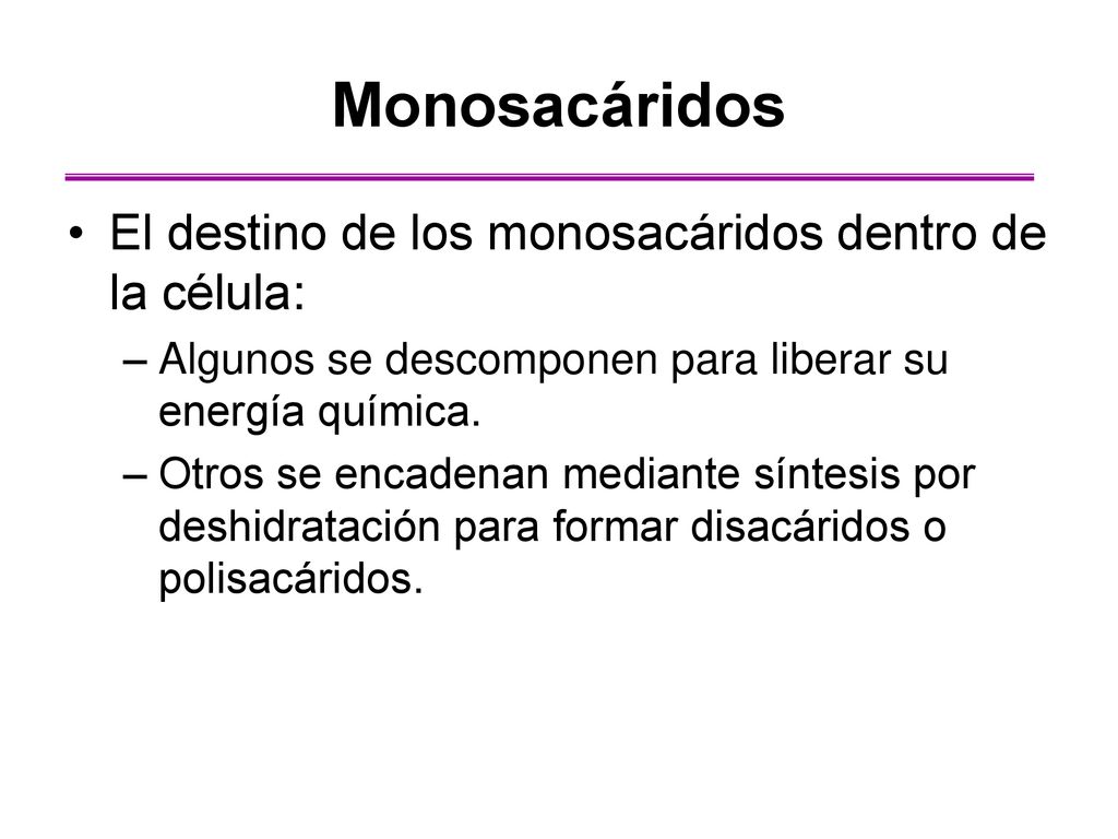 Monosacáridos El destino de los monosacáridos dentro de la célula: