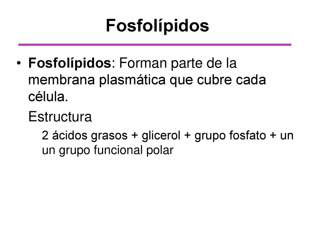 Fosfolípidos Fosfolípidos: Forman parte de la membrana plasmática que cubre cada célula. Estructura.