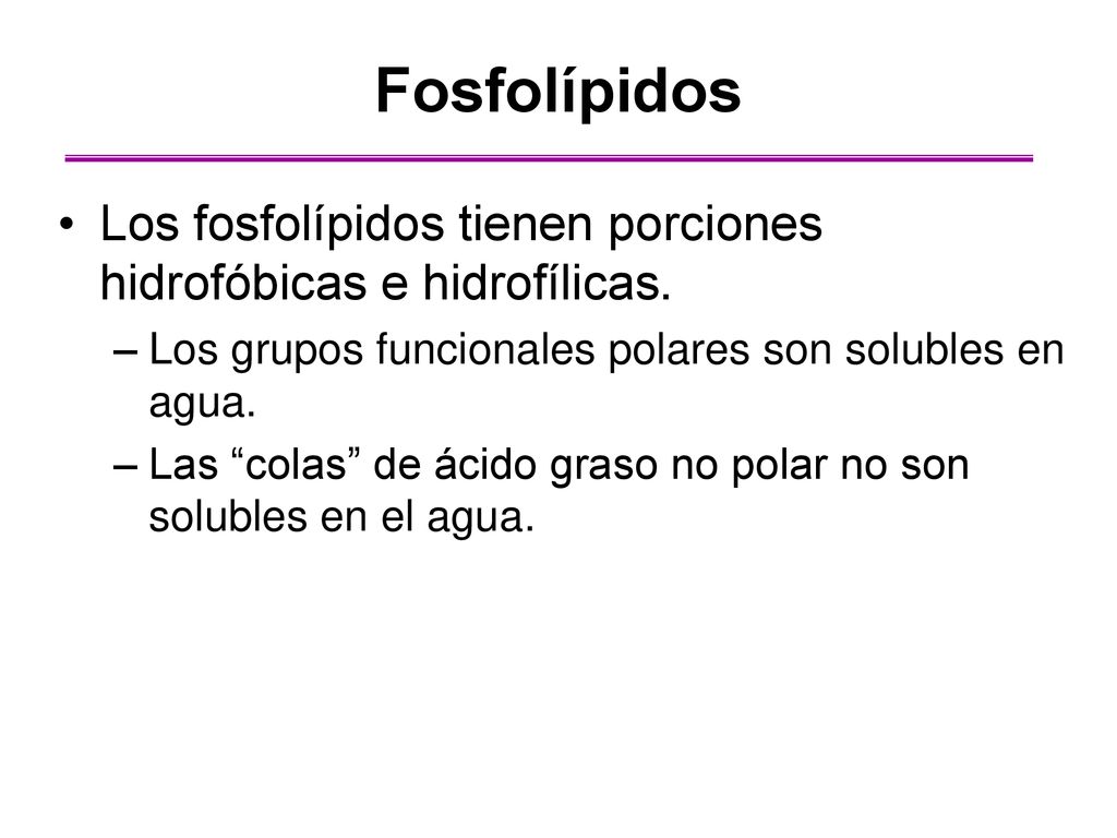 Fosfolípidos Los fosfolípidos tienen porciones hidrofóbicas e hidrofílicas. Los grupos funcionales polares son solubles en agua.