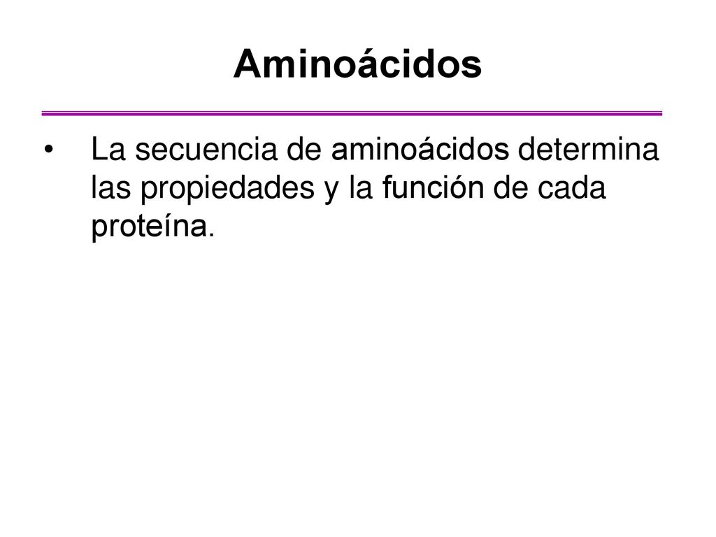 Aminoácidos La secuencia de aminoácidos determina las propiedades y la función de cada proteína.
