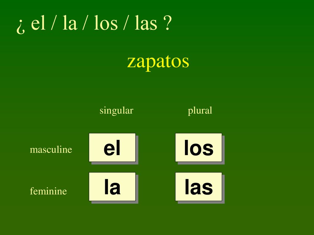 ¿ el / la / los / las zapatos el los la las singular plural