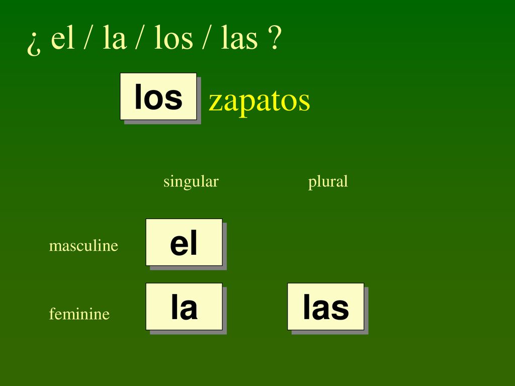 ¿ el / la / los / las zapatos los el la las singular plural