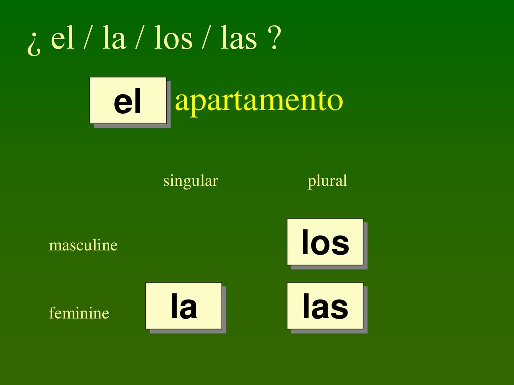 ¿ el / la / los / las apartamento el los la las singular plural