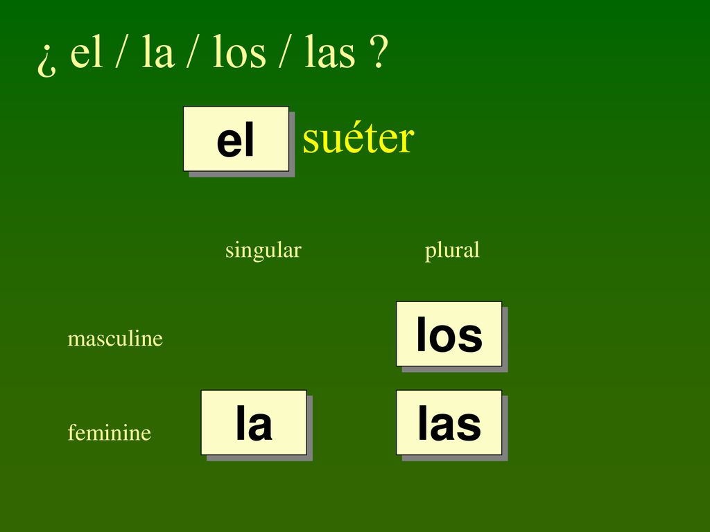 ¿ el / la / los / las suéter el los la las singular plural masculine