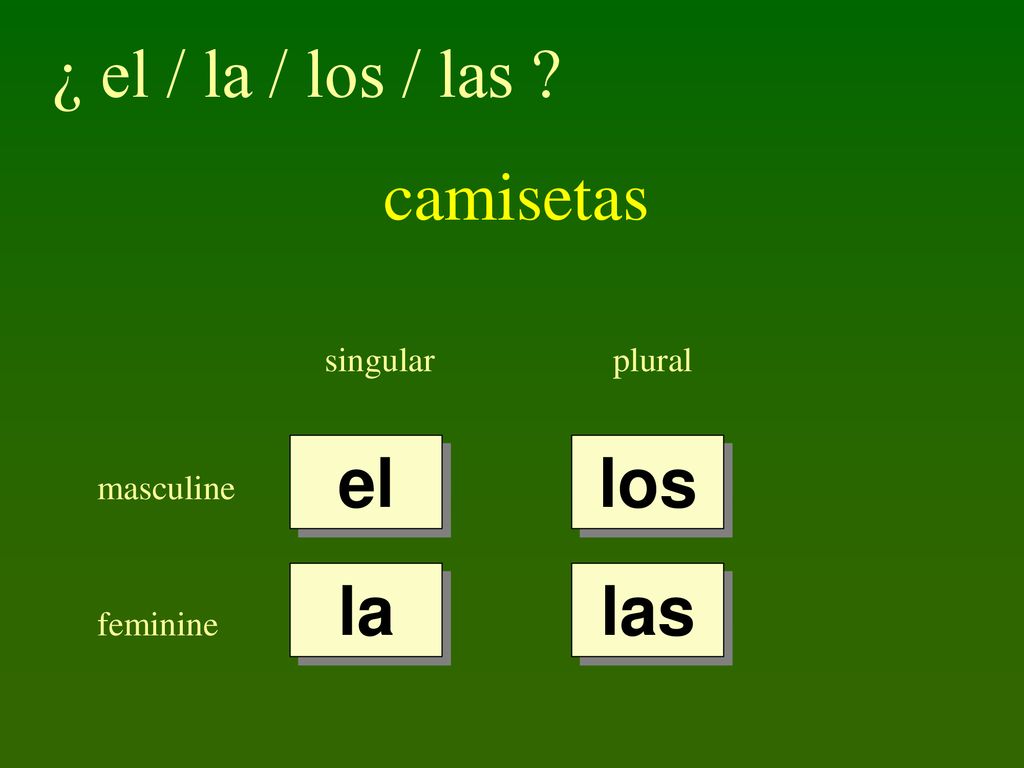 ¿ el / la / los / las camisetas el los la las singular plural