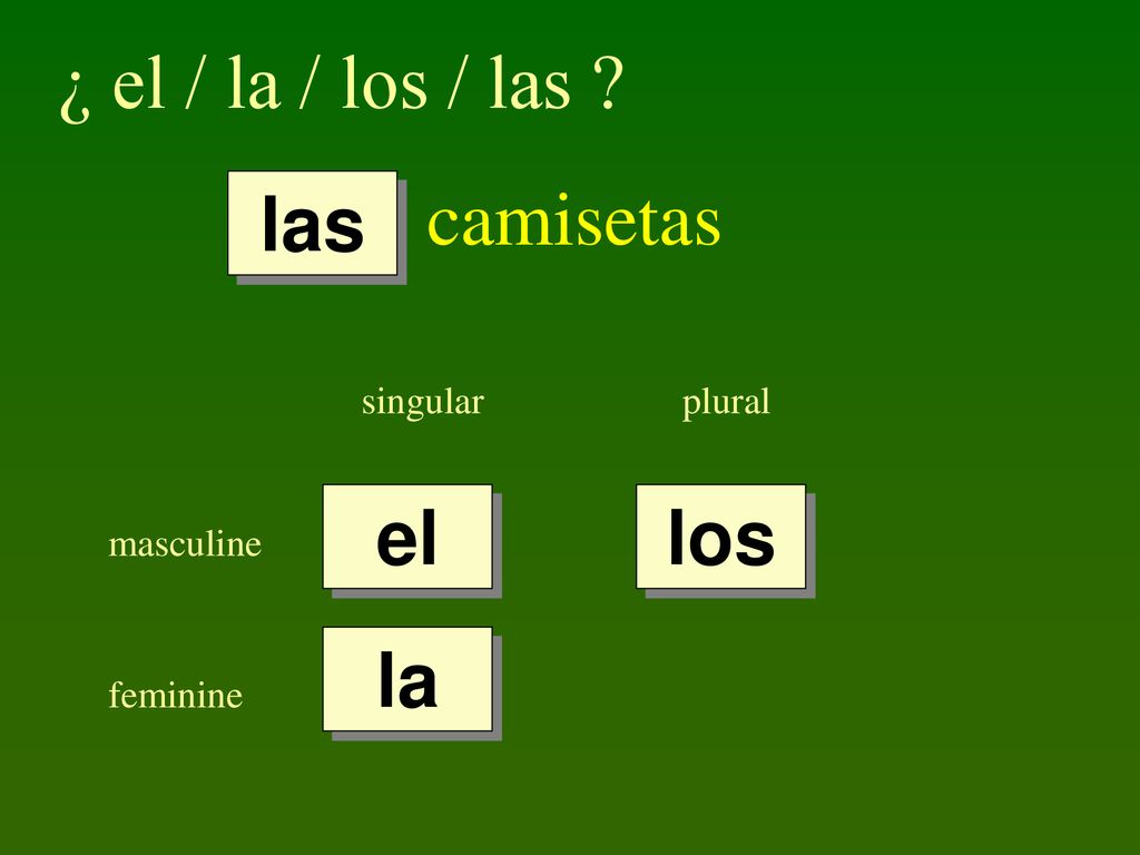 ¿ el / la / los / las camisetas las el los la singular plural