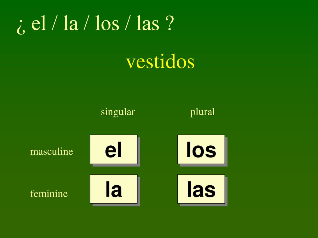 ¿ el / la / los / las vestidos el los la las singular plural