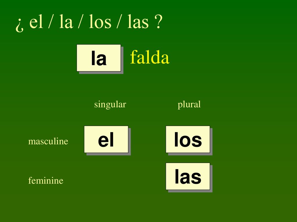 ¿ el / la / los / las falda la el los las singular plural masculine