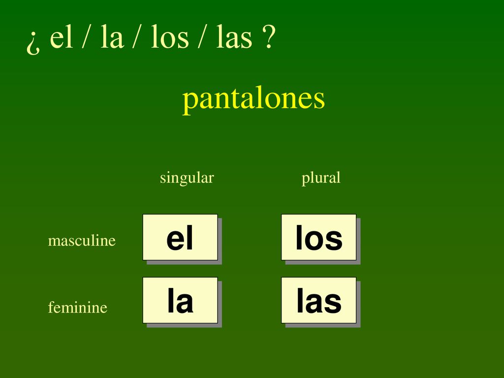 ¿ el / la / los / las pantalones el los la las singular plural