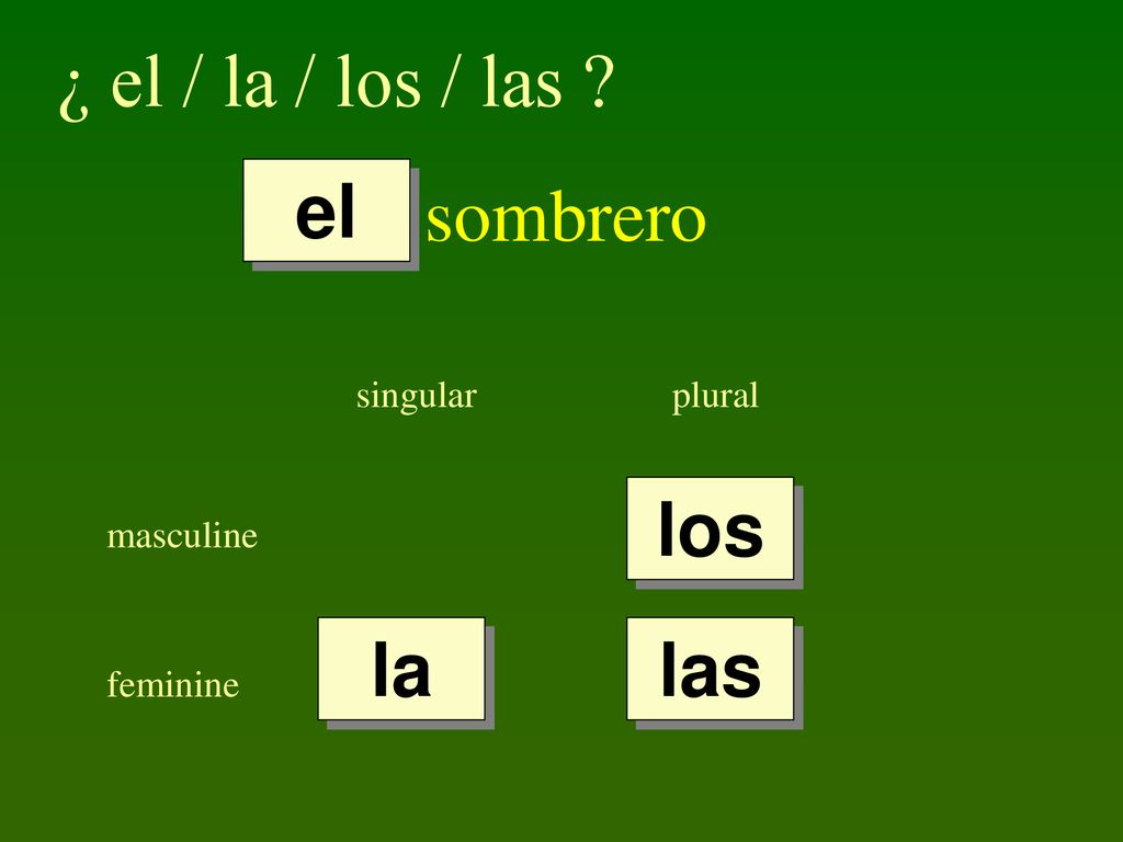 ¿ el / la / los / las sombrero el los la las singular plural