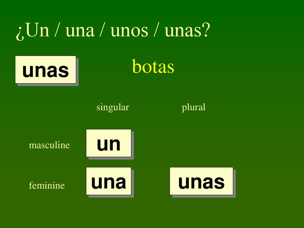 ¿Un / una / unos / unas botas unas un una unas singular plural