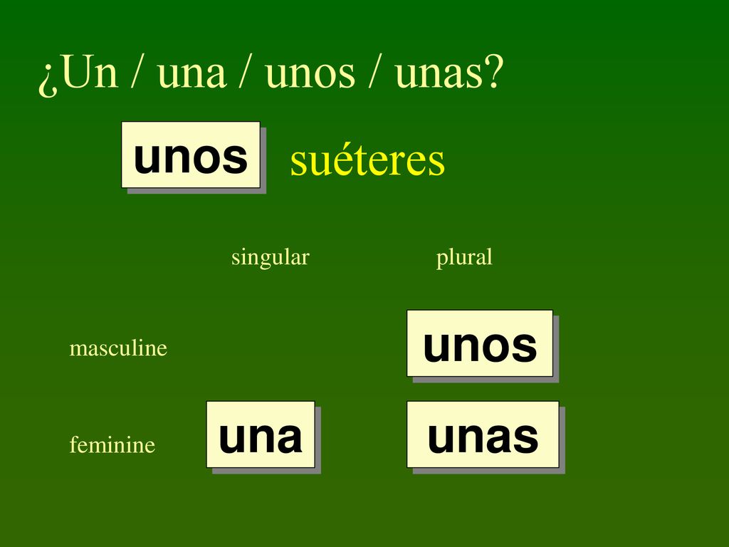 ¿Un / una / unos / unas suéteres unos unos una unas singular plural